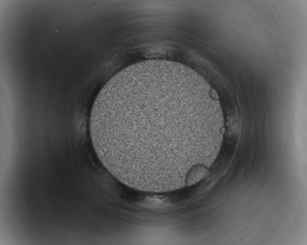 X0000094940753200712271612