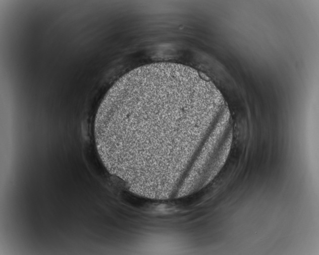 X0000094940755200712271612