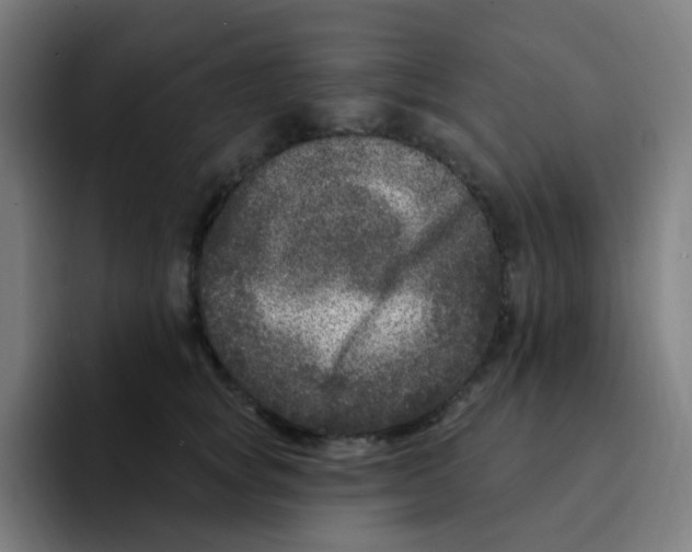 X0000094940757200712271612