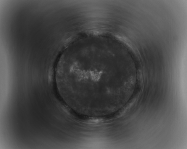 X0000094940760200712271612