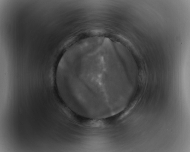 X0000094940762200712271612