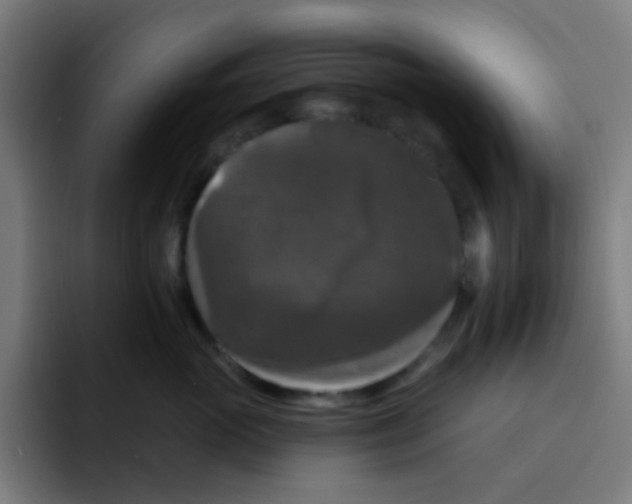 X0000094940765200712271612