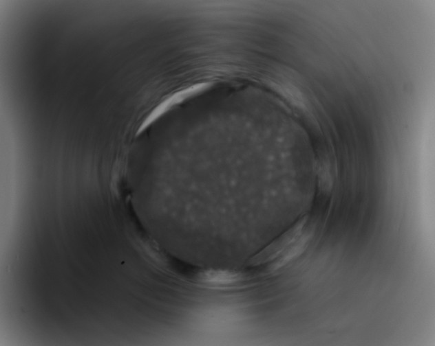 X0000094940766200712271613