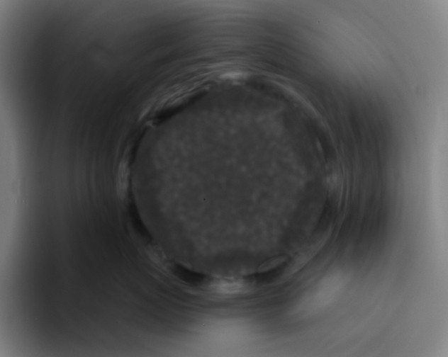 X0000094940767200712271613