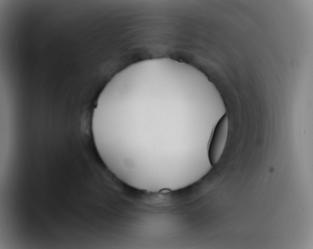 X0000094940768200712271613