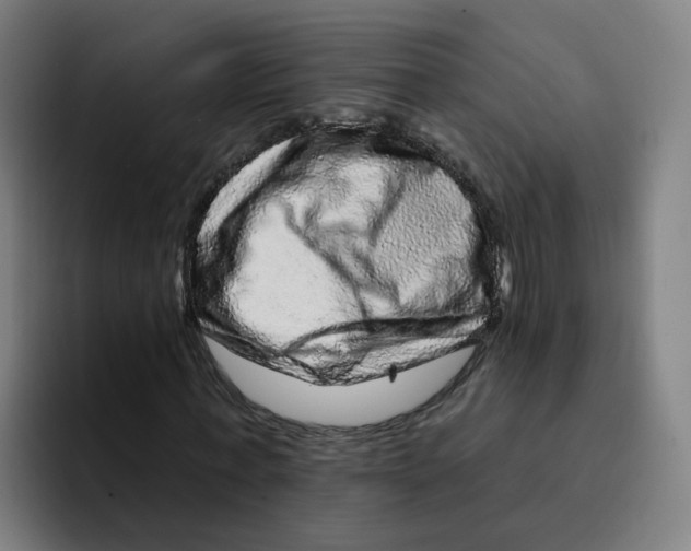 X0000094940771200712271612