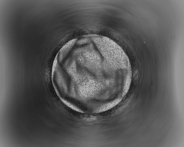X0000094940772200712271612