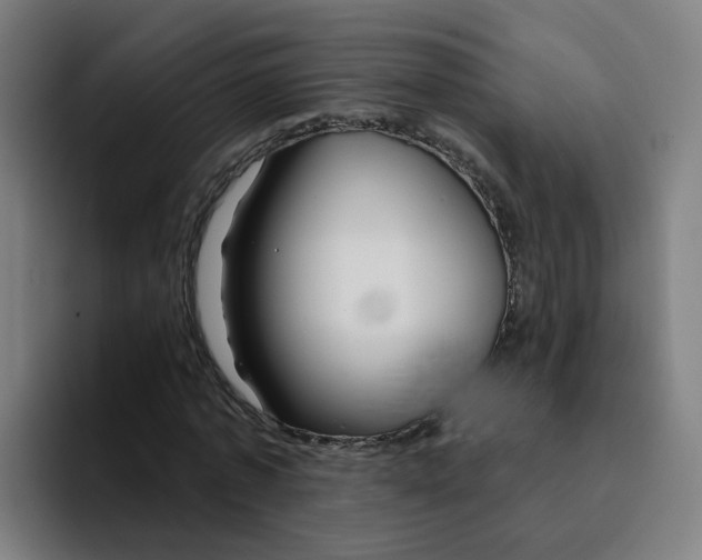 X0000094940773200712271612