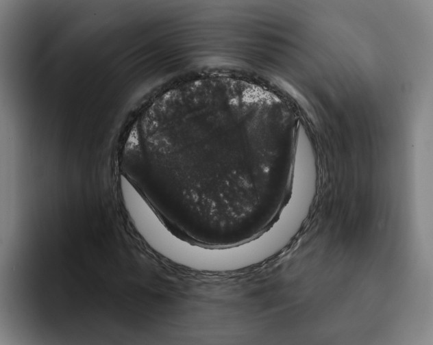 X0000094940775200712271612
