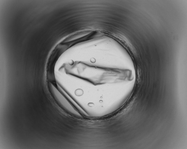 X0000094940780200712271612