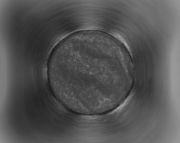 X0000094940781200712271612