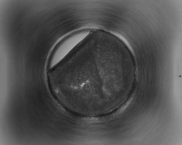 X0000094940783200712271612