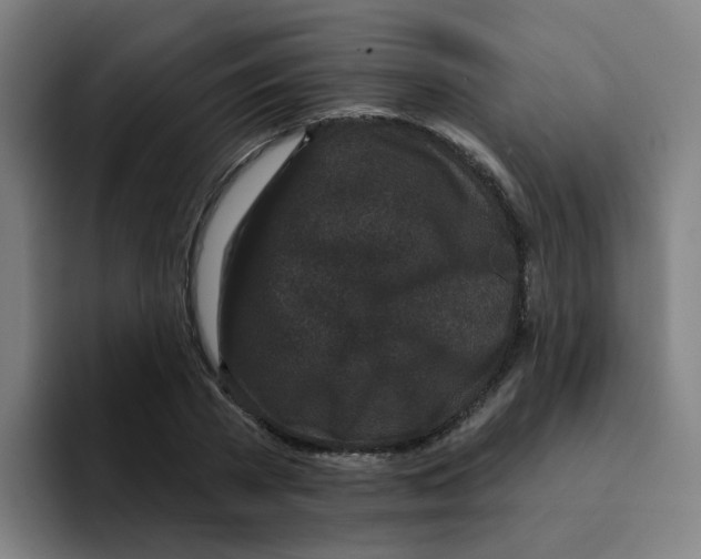 X0000094940785200712271612