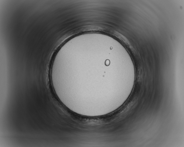 X0000094940786200712271612