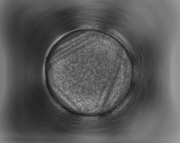 X0000094940788200712271612