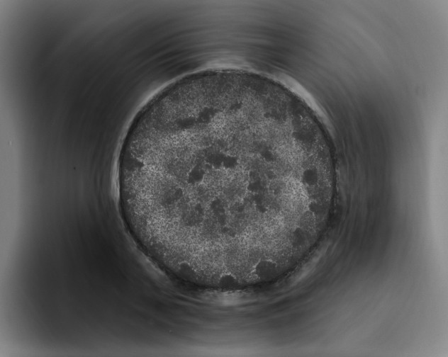 X0000094940791200712271612