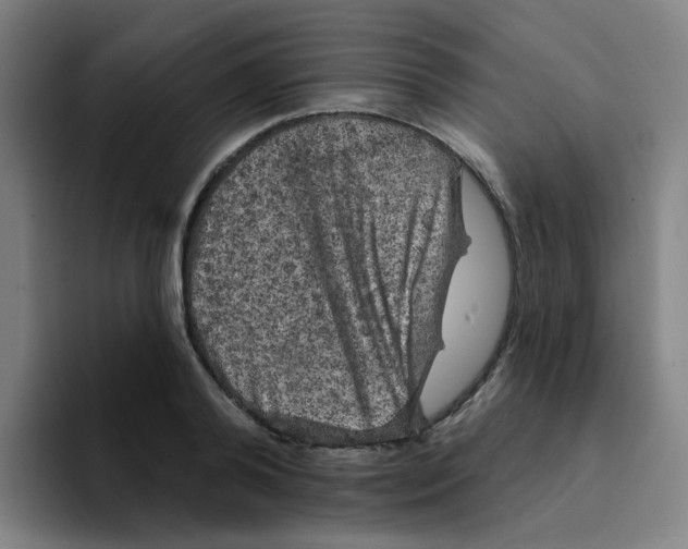 X0000094940792200712271612