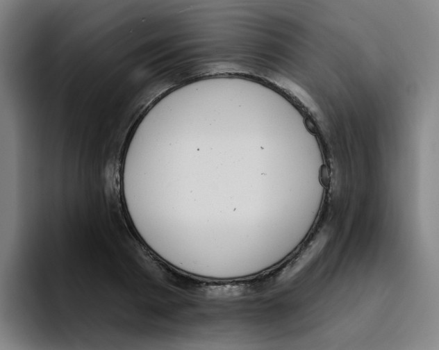 X0000094940793200712271612
