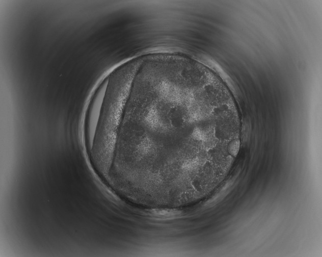 X0000094940795200712271612