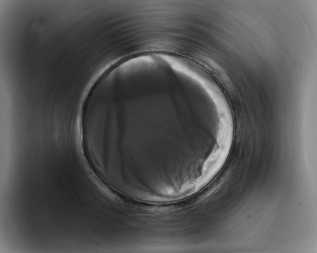 X0000094940796200712271612
