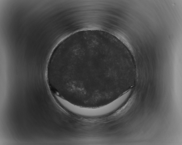 X0000094940797200712271612