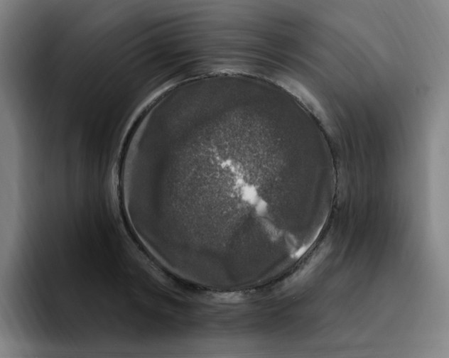 X0000094940798200712271612