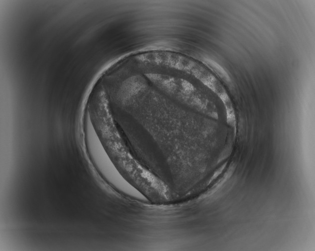 X0000094940800200712271612