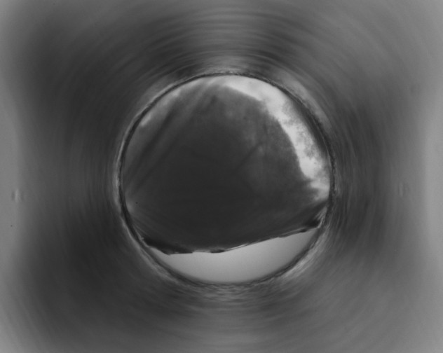 X0000094940802200712271611