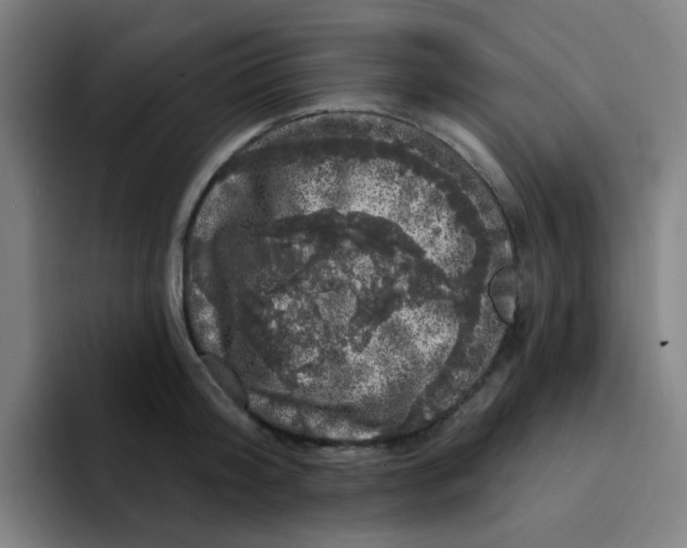 X0000094940804200712271611