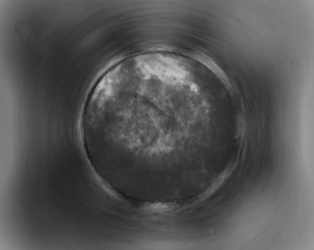 X0000094940806200712271611