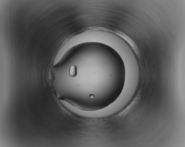 X0000094940809200712271611