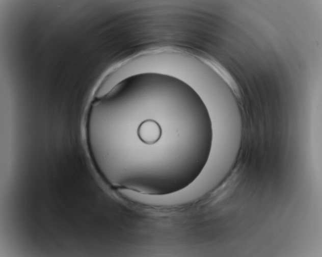 X0000094940813200712271611