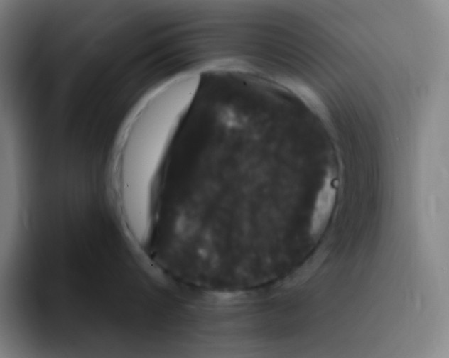 X0000094940816200712271611