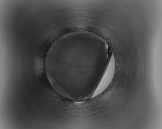 X0000094940818200712271611