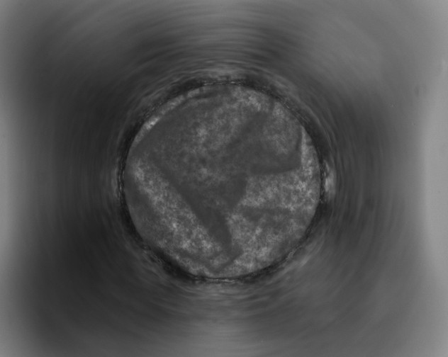 X0000094940819200712271611