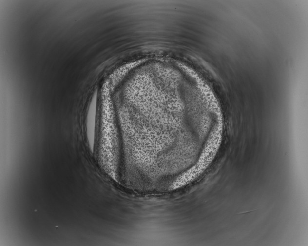 X0000094940821200712271611