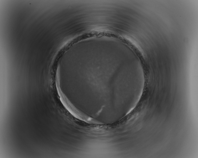 X0000094940823200712271611