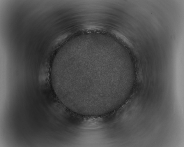 X0000094940824200712271611