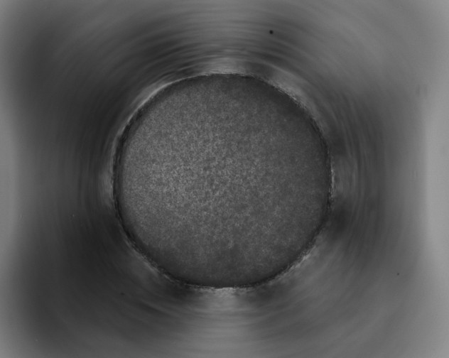 X0000094940828200712271611