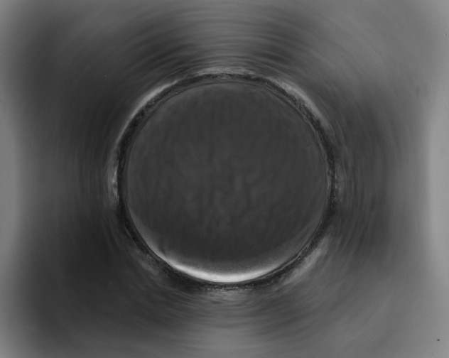 X0000094940830200712271611