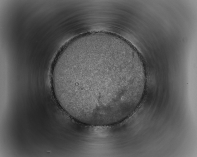 X0000094940832200712271611
