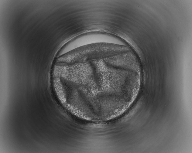 X0000094940834200712271611