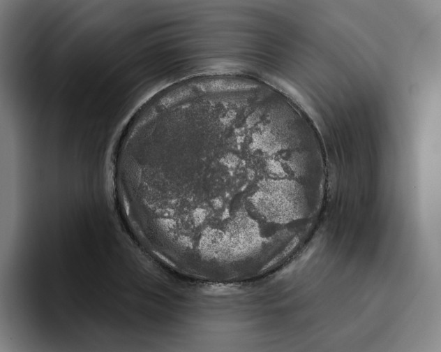 X0000094940835200712271611