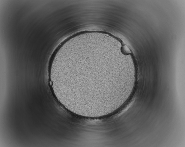X0000094940837200712271611