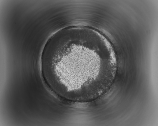 X0000094940840200712271611