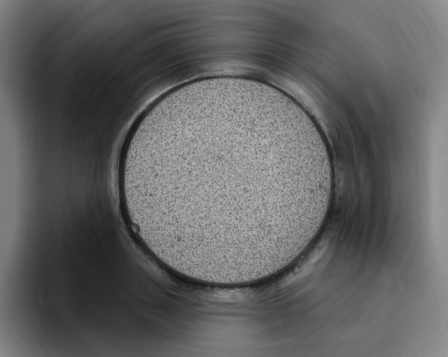 X0000094940843200712271611