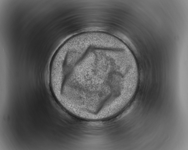 X0000094940844200712271611
