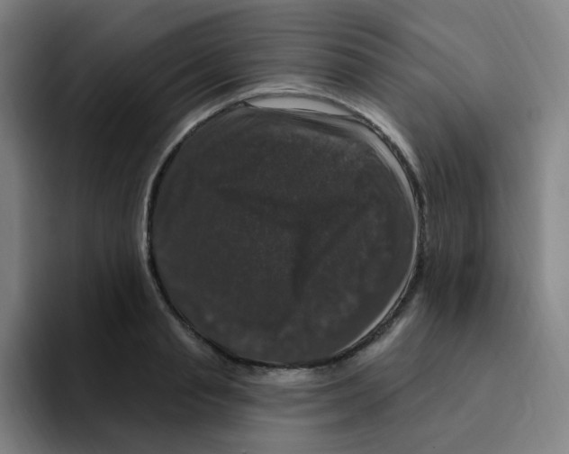 X0000094940845200712271611