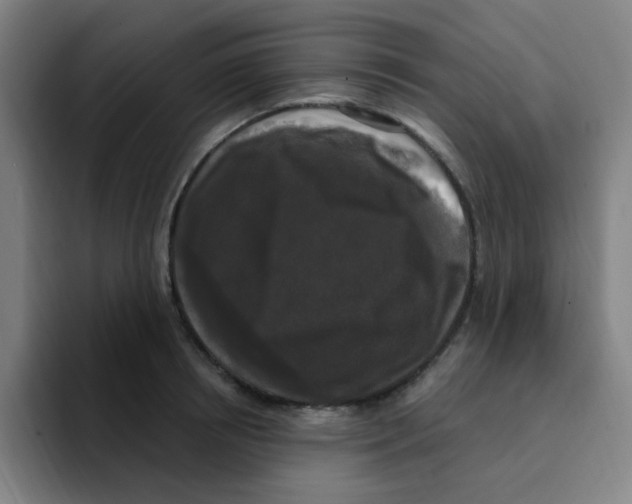 X0000094940850200712271611