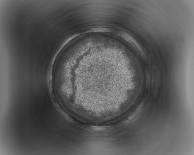 X0000094940852200712271611
